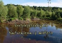 Pontrhydfendigaid: Naturaleza, misterios y cerveza en Gales Titulo sobre el post de Pontrhydfendigaid