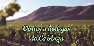 Título del post sobre visitas a las bodegas de la Rioja